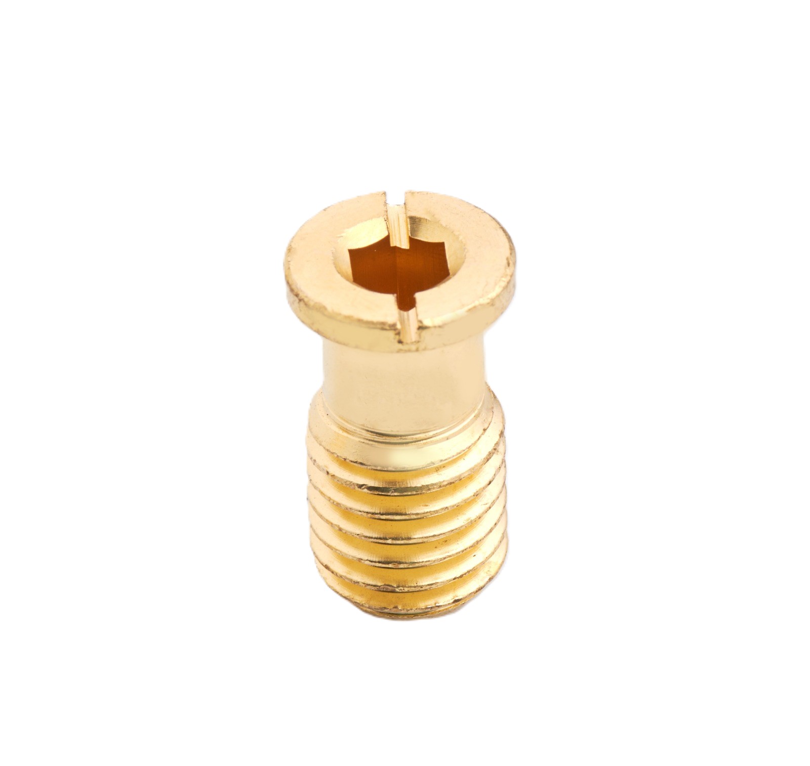 Anchor Screw — SwimCares pool & deck hardware | Satyam Techworks brass manufacturing