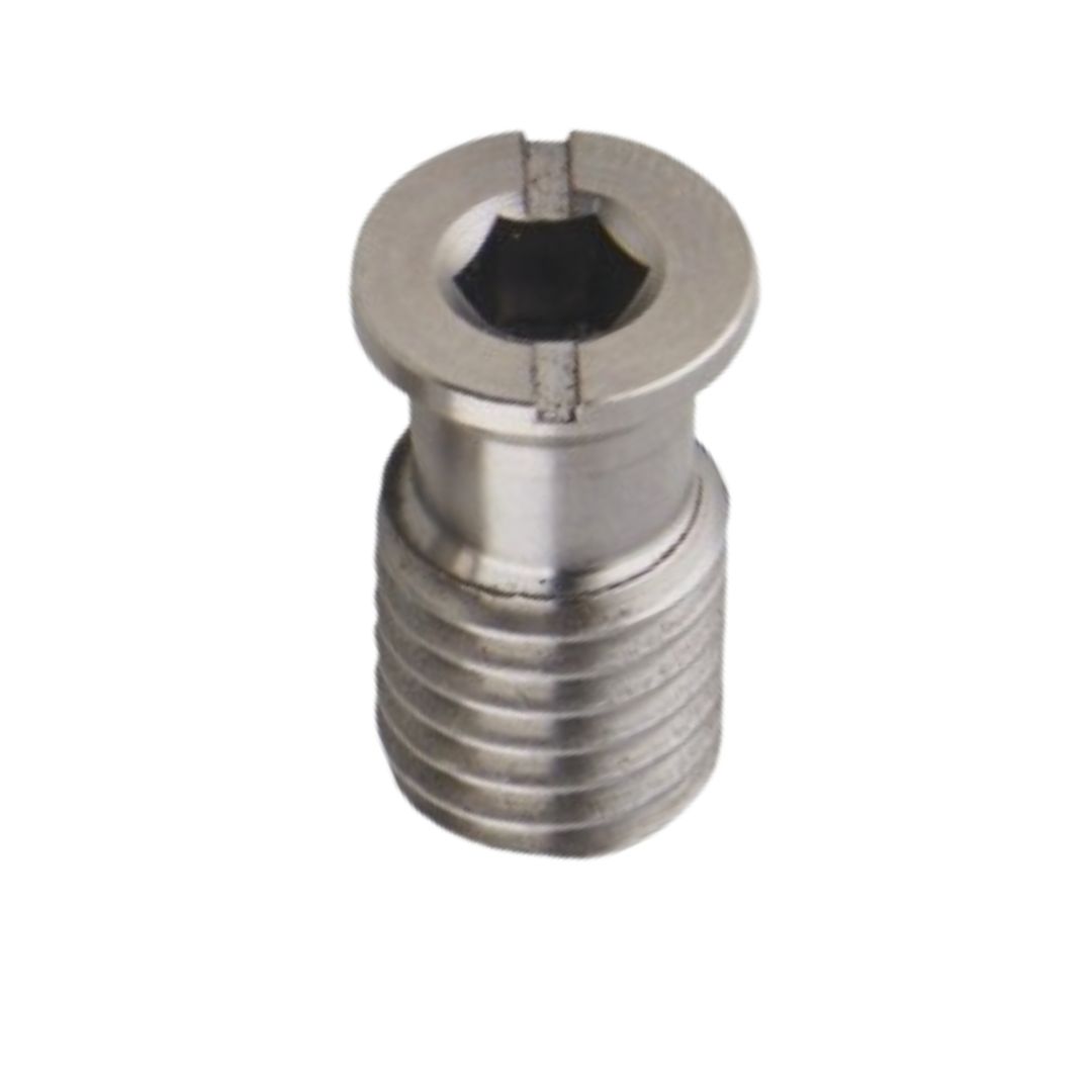 S.S. Anchor Screw — SwimCares pool & deck hardware | Satyam Techworks brass manufacturing